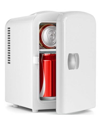 Portable Mini Fridge